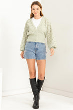 Load image into Gallery viewer, Days Together Pointelle Sweater Cardigan (DS)
